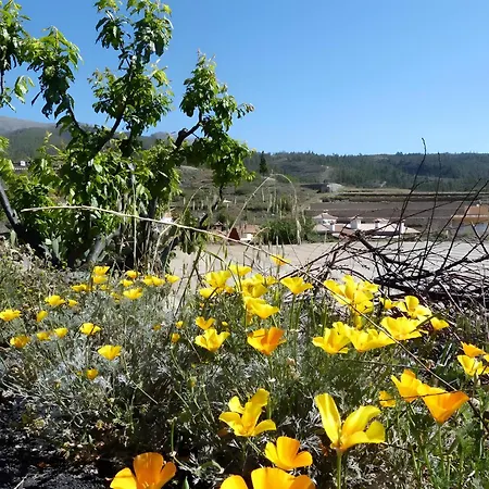 German Πανσιόν 3*