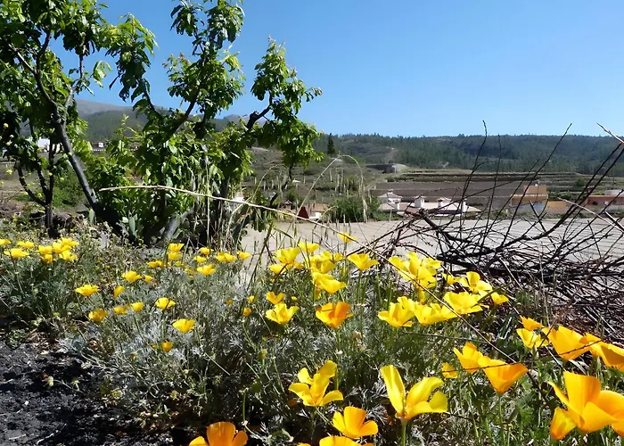 German Guest house 3*